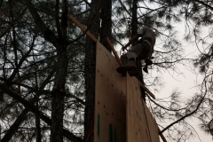 Climbing wall on a tree